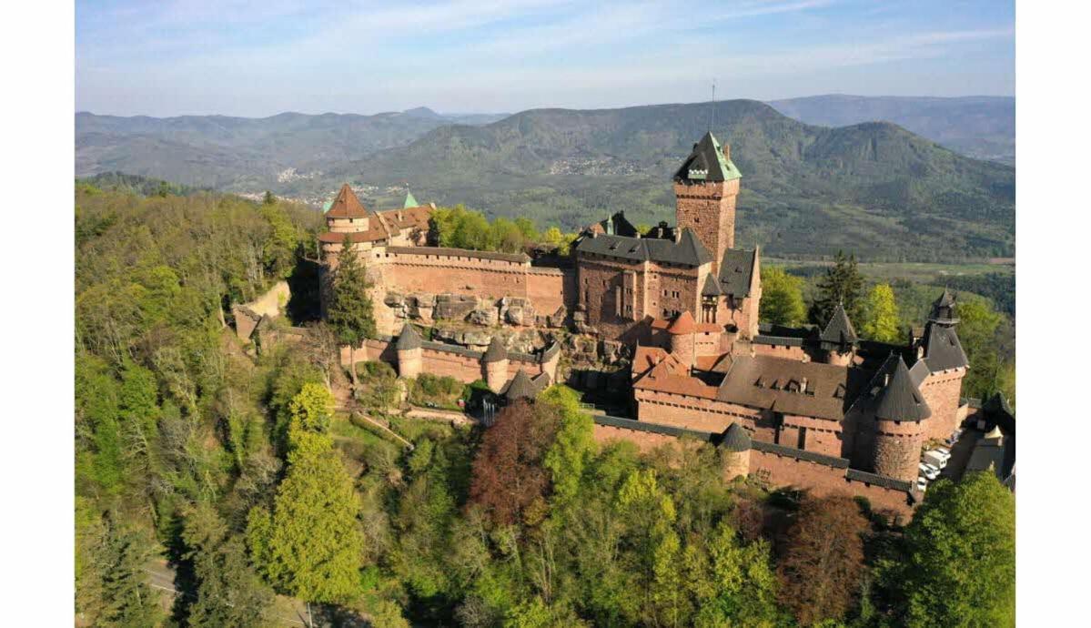 Au Coeur Du Val D'Argent Duplex Atypique A Sainte-Marie-Aux-Mines Daire Dış mekan fotoğraf